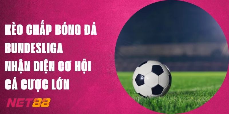 Kèo Chấp Bóng Đá Bundesliga Net88 - Nhận Cơ Hội Cá Cược Lớn